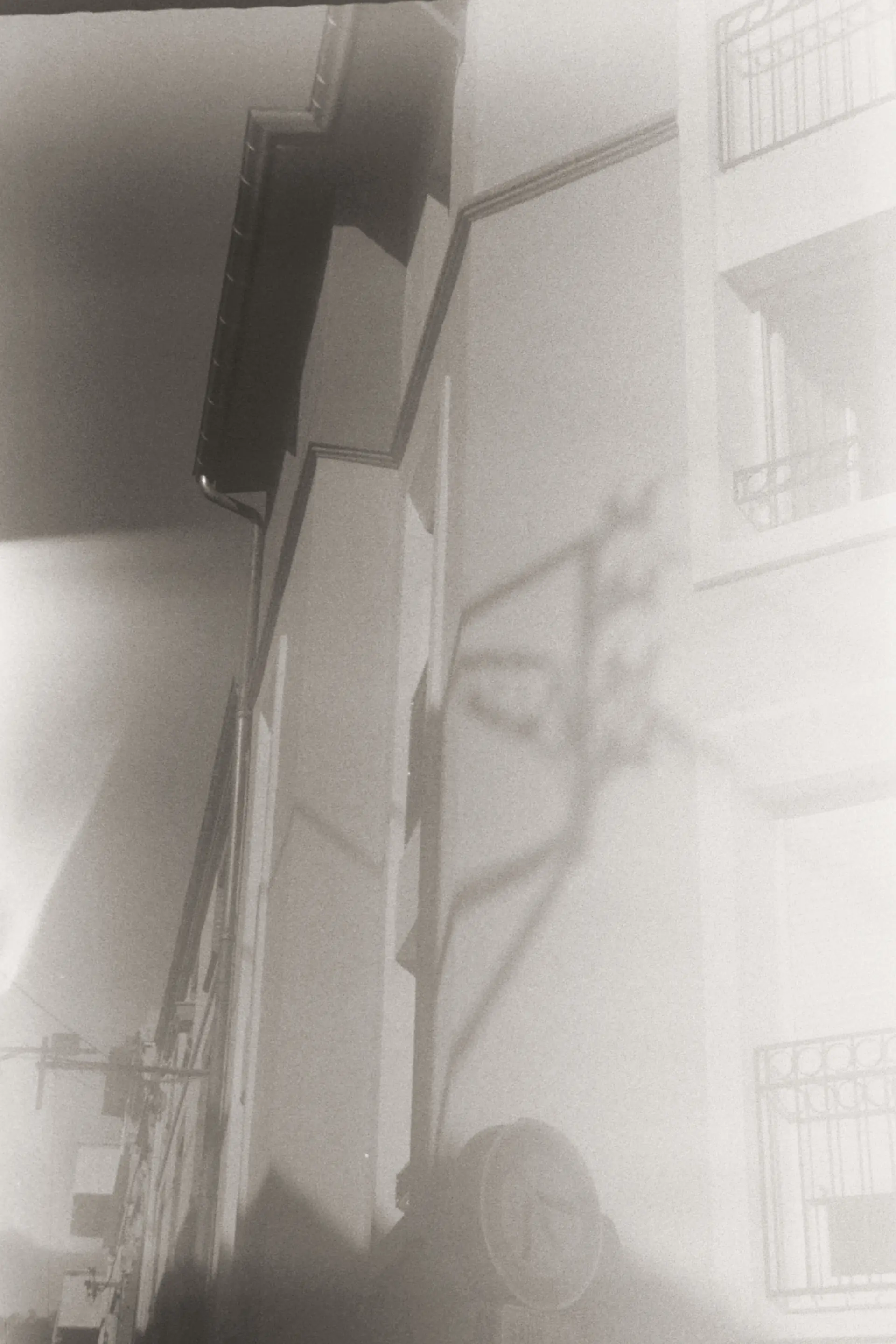 A woman presumbly walking home with a grocery bag