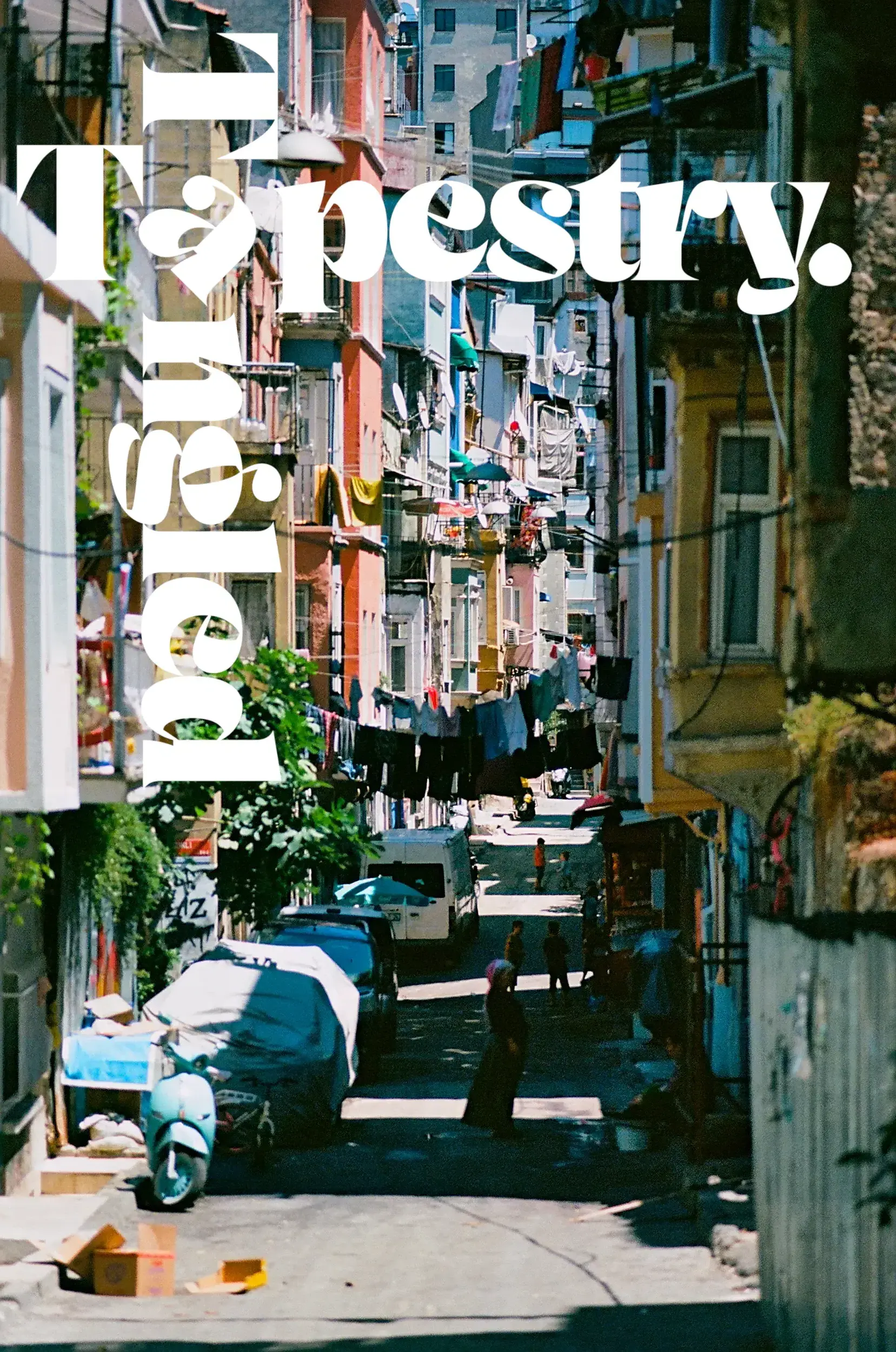Cover image of Tangled Tapestry photographic series